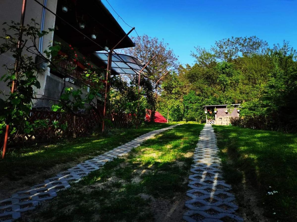 Casa De Vacanta Zsenik Vendeghaz Совата Екстериор снимка