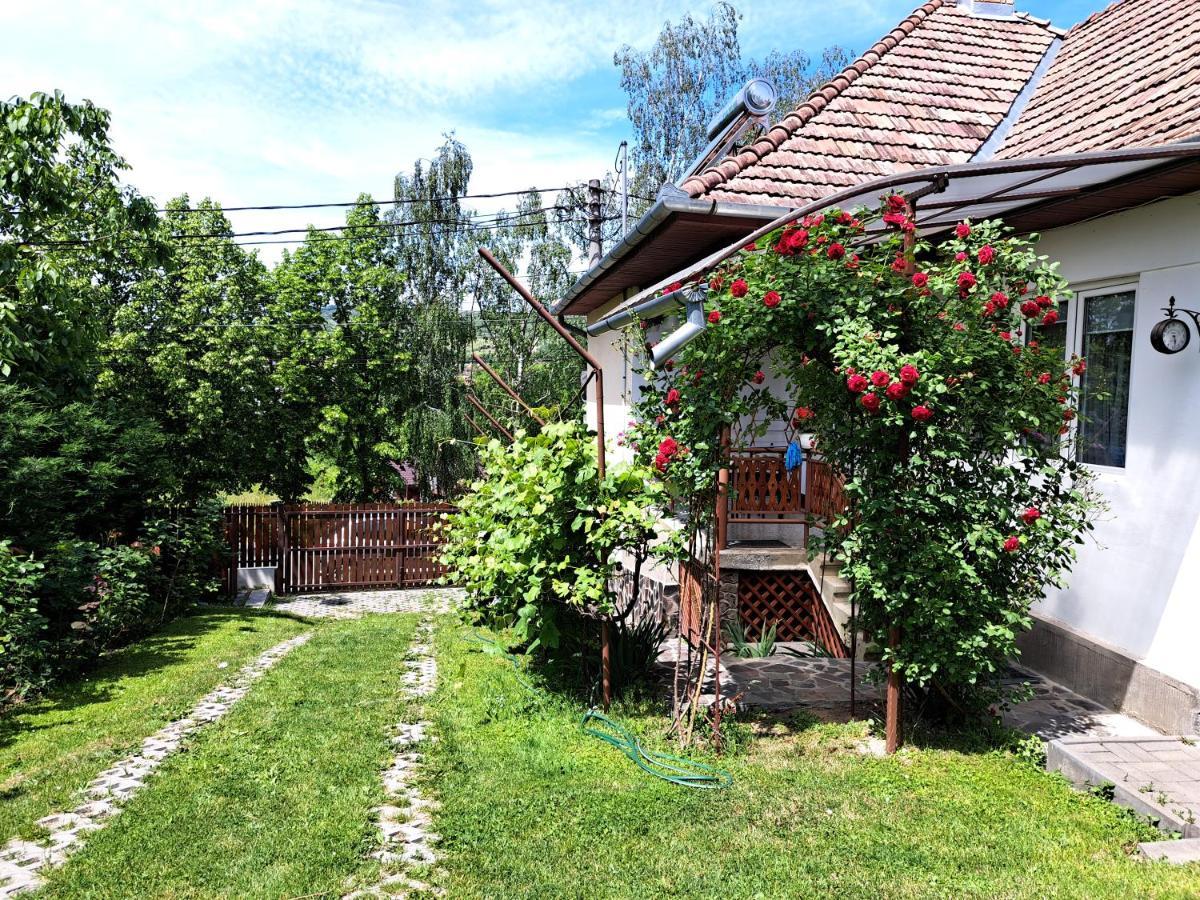 Casa De Vacanta Zsenik Vendeghaz Совата Екстериор снимка